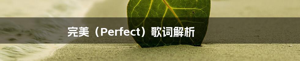 完美(Perfect)歌词解析