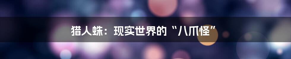 猎人蛛:现实世界的“八爪怪”