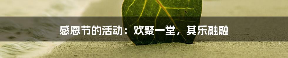 感恩节的活动:欢聚一堂,其乐融融