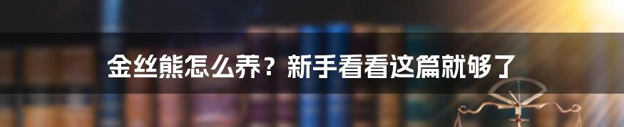 金丝熊怎么养?新手看看这篇就够了