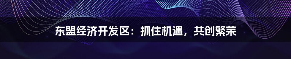 东盟经济开发区:抓住机遇,共创繁荣