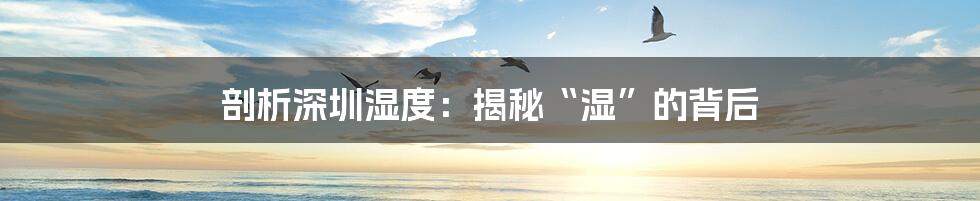 剖析深圳湿度:揭秘“湿”的背后