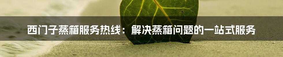 西门子蒸箱服务热线:解决蒸箱问题的一站式服务
