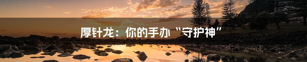 厚针龙:你的手办“守护神”