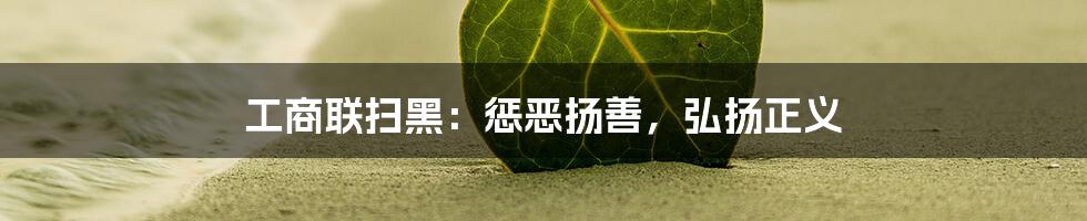 工商联扫黑:惩恶扬善,弘扬正义