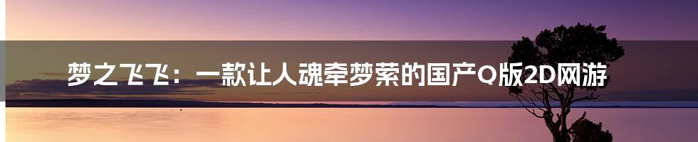 梦之飞飞:一款让人魂牵梦萦的国产Q版2D网游