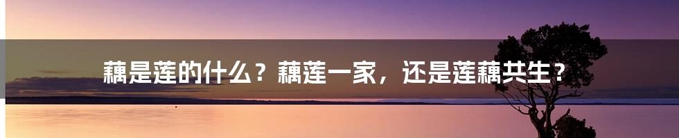 藕是莲的什么?藕莲一家,还是莲藕共生?