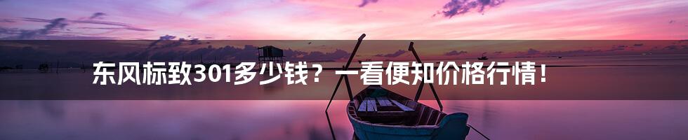 东风标致301多少钱？一看便知价格行情！