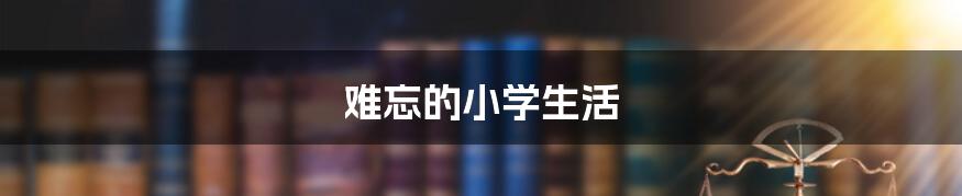 难忘的小学生活