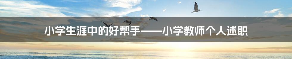 小学生涯中的好帮手——小学教师个人述职