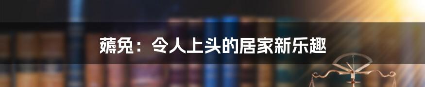 薅兔:令人上头的居家新乐趣