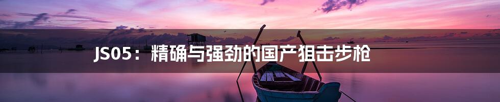JS05:精确与强劲的国产狙击步枪