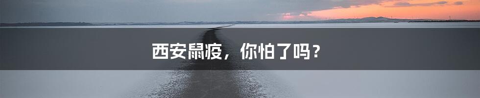 西安鼠疫，你怕了吗？