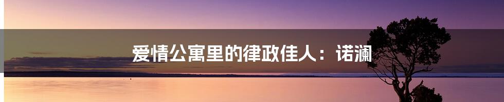 爱情公寓里的律政佳人:诺澜