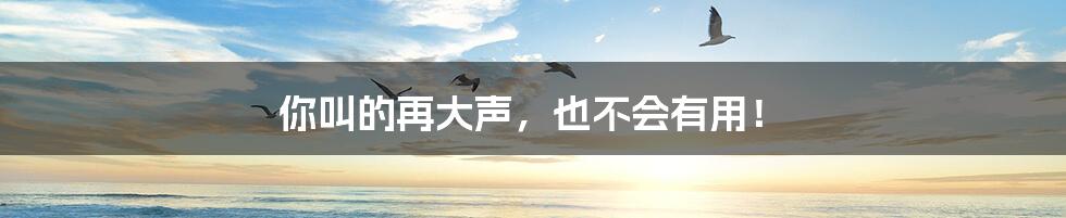 你叫的再大声,也不会有用!