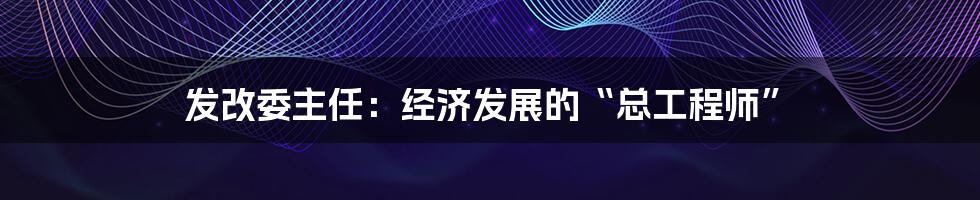 发改委主任:经济发展的“总工程师”