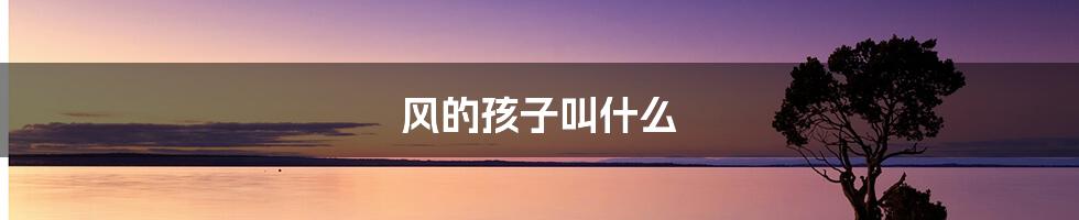风的孩子叫什么
