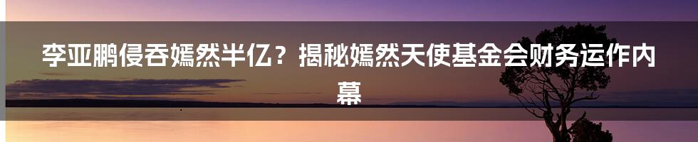 李亚鹏侵吞嫣然半亿?揭秘嫣然天使基金会财务运作内幕