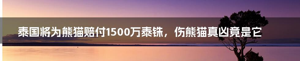 泰国将为熊猫赔付1500万泰铢,伤熊猫真凶竟是它