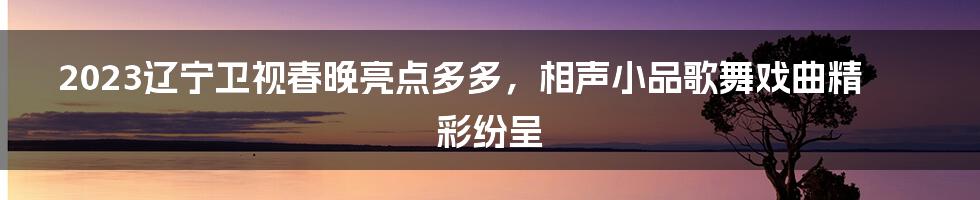 2023辽宁卫视春晚亮点多多,相声小品歌舞戏曲精彩纷呈