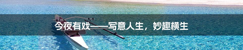 今夜有戏——写意人生,妙趣横生