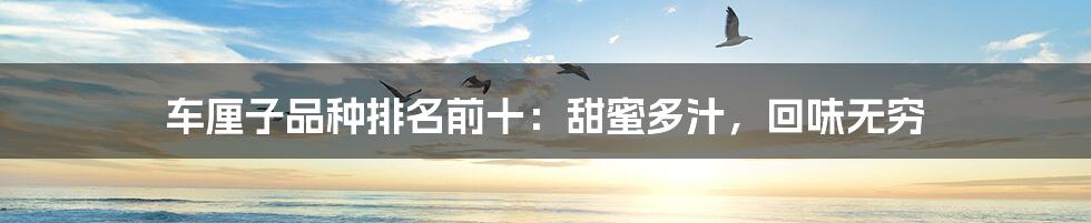 车厘子品种排名前十：甜蜜多汁，回味无穷
