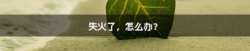 失火了，怎么办？