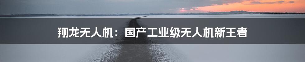 翔龙无人机:国产工业级无人机新王者