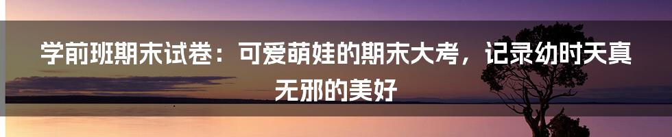 学前班期末试卷:可爱萌娃的期末大考,记录幼时天真无邪的美好