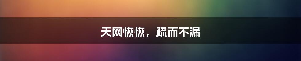 天网恢恢,疏而不漏