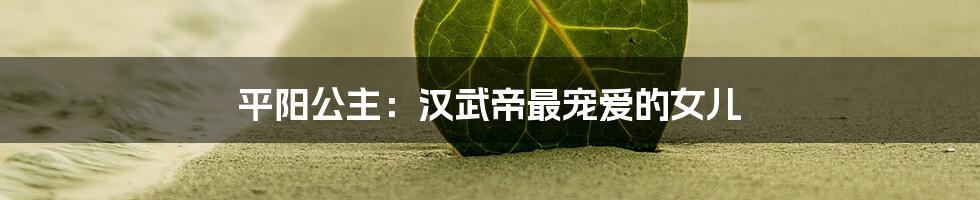 平阳公主:汉武帝最宠爱的女儿