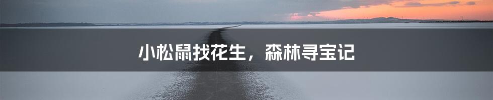 小松鼠找花生，森林寻宝记