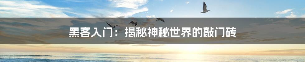 黑客入门:揭秘神秘世界的敲门砖