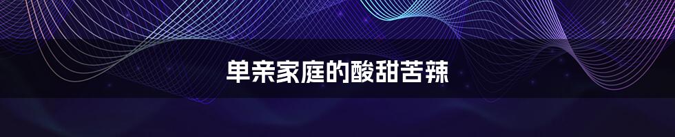 单亲家庭的酸甜苦辣