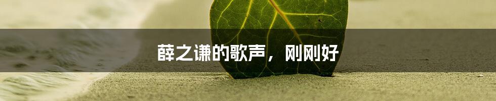 薛之谦的歌声,刚刚好