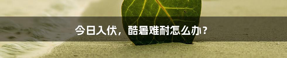 今日入伏,酷暑难耐怎么办?