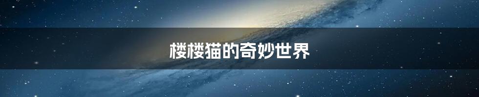 楼楼猫的奇妙世界