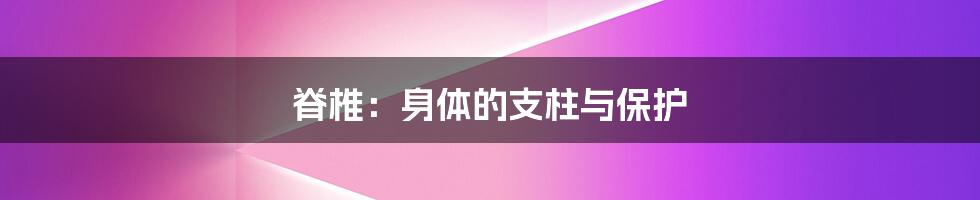 脊椎:身体的支柱与保护