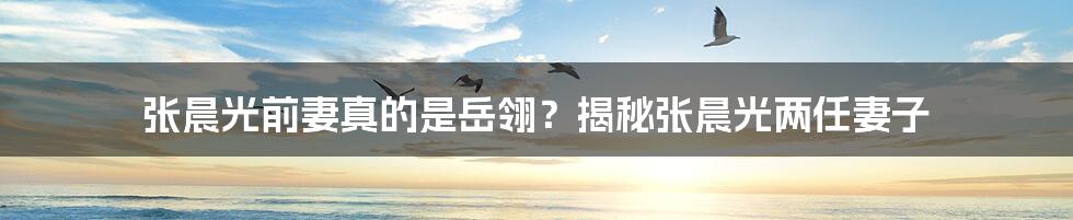 张晨光前妻真的是岳翎?揭秘张晨光两任妻子