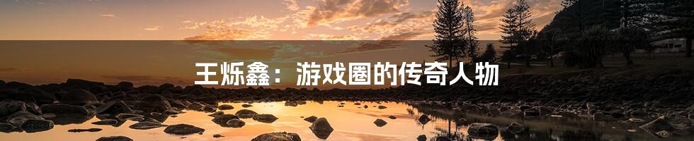 王烁鑫:游戏圈的传奇人物