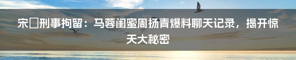 宋喆刑事拘留:马蓉闺蜜周扬青爆料聊天记录,揭开惊天大秘密