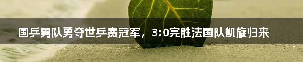 国乒男队勇夺世乒赛冠军，3:0完胜法国队凯旋归来