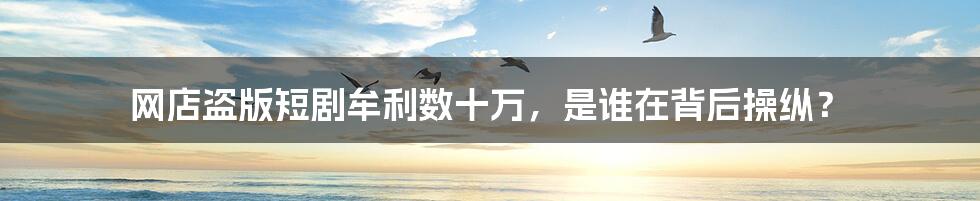 网店盗版短剧牟利数十万,是谁在背后操纵?