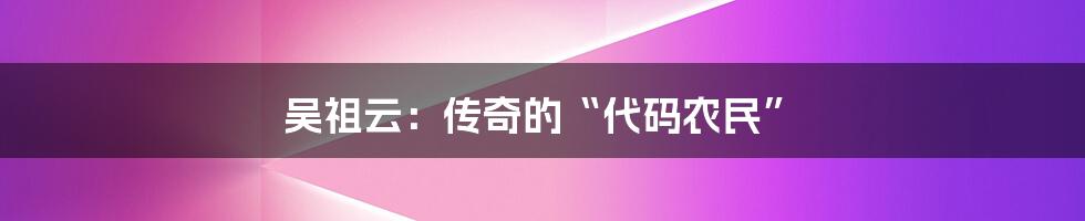 吴祖云:传奇的“代码农民”
