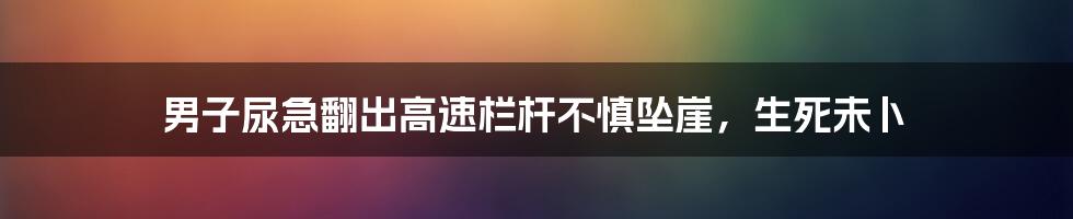 男子尿急翻出高速栏杆不慎坠崖,生死未卜