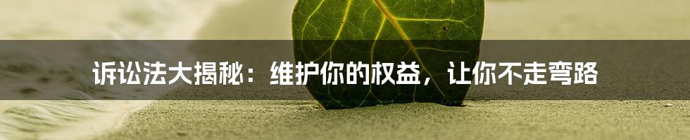 诉讼法大揭秘:维护你的权益,让你不走弯路