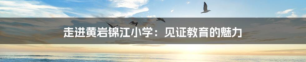 走进黄岩锦江小学：见证教育的魅力