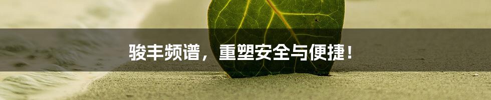 骏丰频谱,重塑安全与便捷!