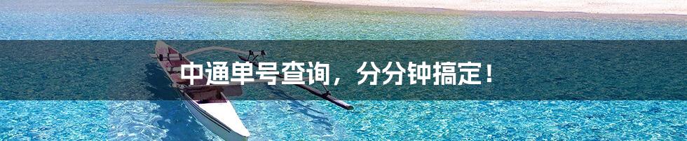 中通单号查询,分分钟搞定!