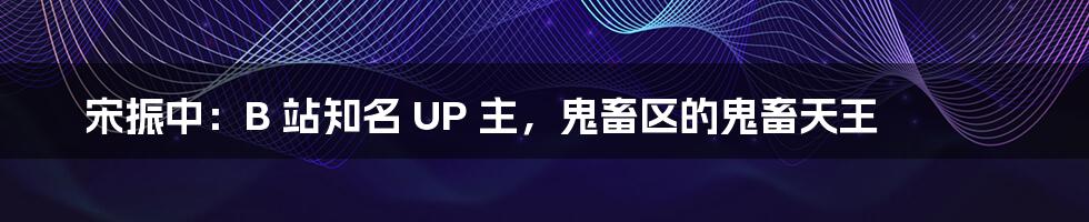 宋振中:B 站知名 UP 主,鬼畜区的鬼畜天王